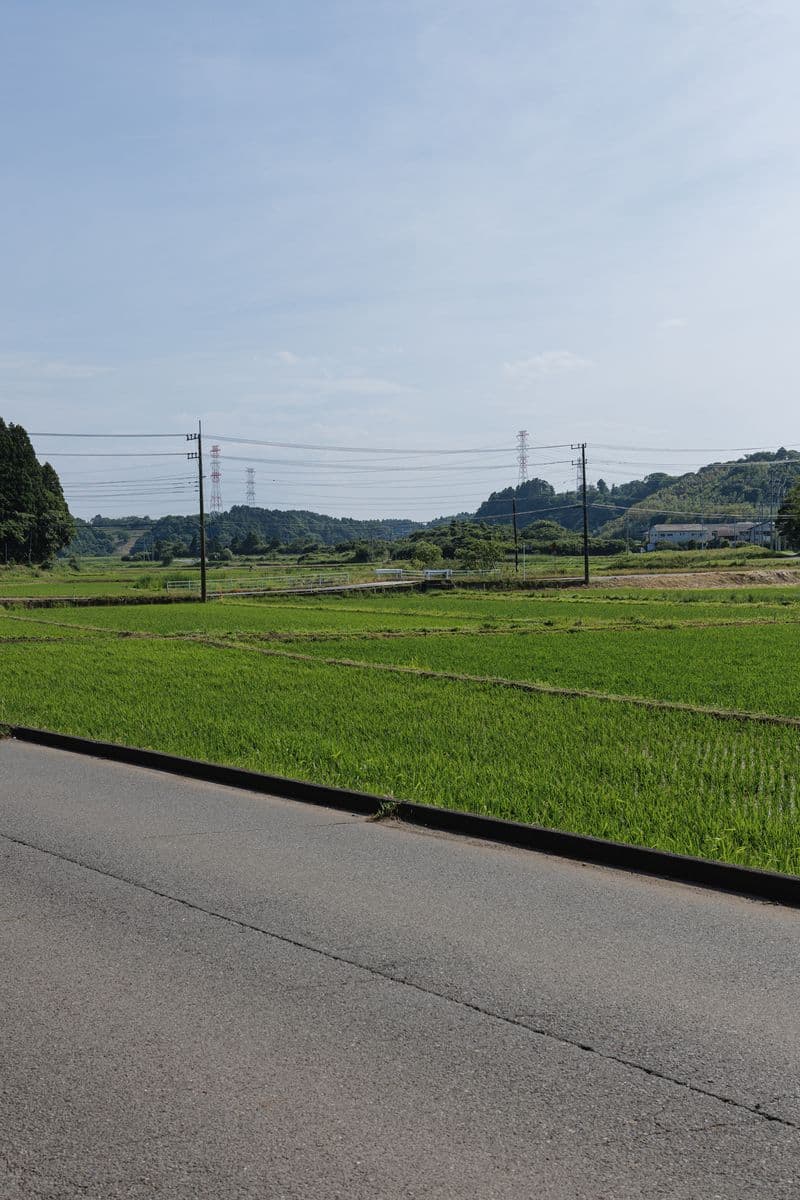 宿の前の道路から見る、青々とした田んぼと里山